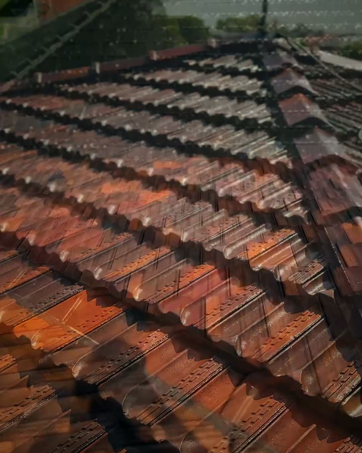 Moss roof wash in Earlwood after Pristine Pressure Clean