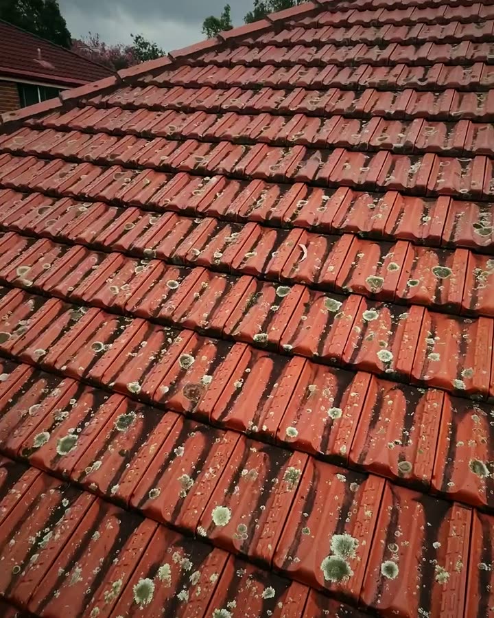 Roof wash in Northbridge before